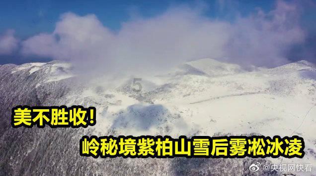 haha体育平台在线